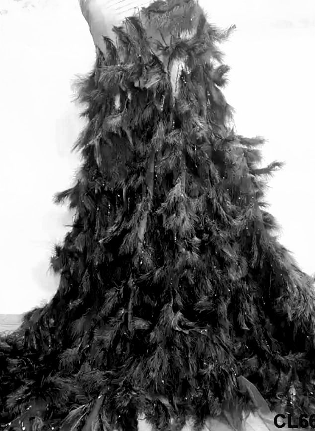 Dantela pene de lebada
pe toata suprafata,. Broderii exclusive. Calitate Superioara. Broderii premium, lux.